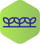 replanteo de terrenos_1